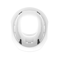 Securis Class-C Safety Helmets - Ironworkergear