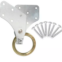 Safewaze Wood Truss/Attic Anchor - Ironworkergear