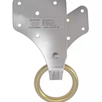 Safewaze Wood Truss/Attic Anchor - Ironworkergear